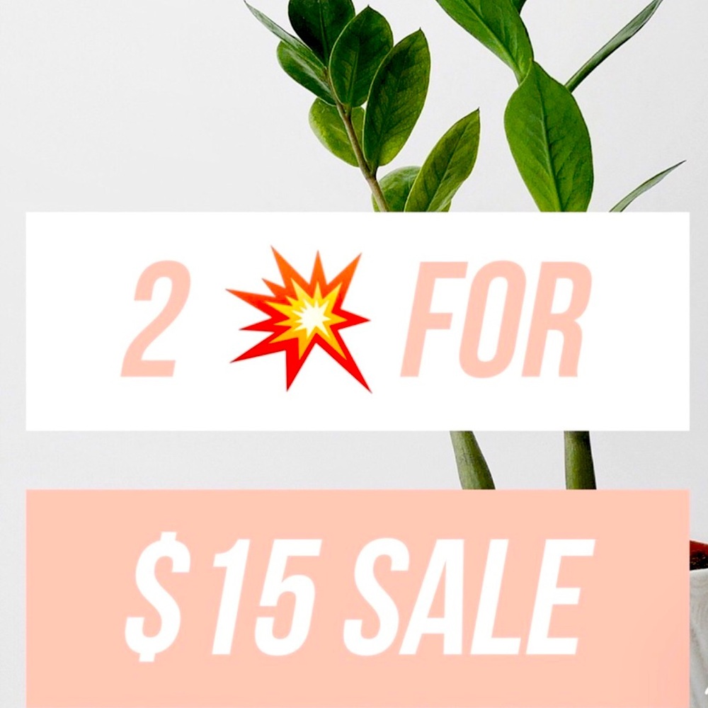 Bundle *any* 2 Items marked with 💥 for just $15